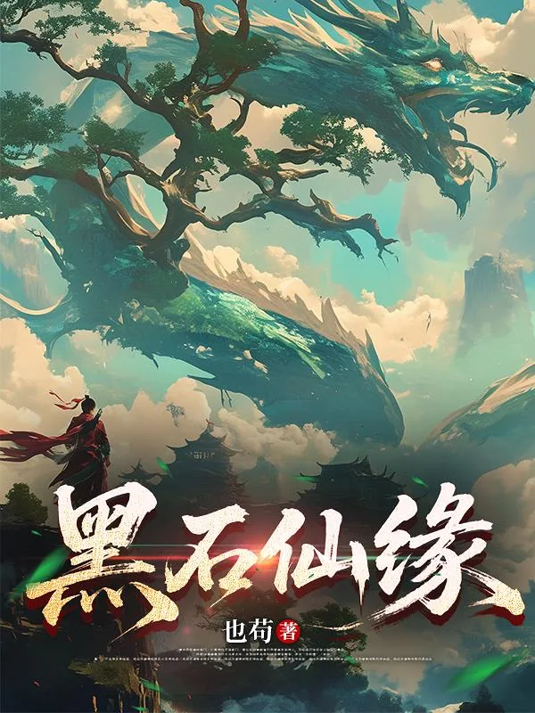 《黑石仙缘》小说封面