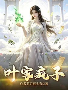《叶家疯子》小说封面