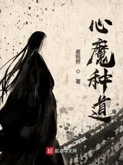 《心魔种道》小说封面