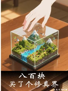 《八百块，买了个修真界》小说封面