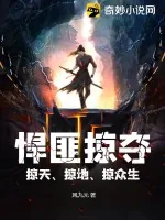《悍匪掠夺，掠天、掠地、掠众生》小说封面