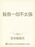 《我有一剑不太强》小说封面