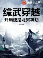 《综武穿越：开局便是北冥神功》小说封面