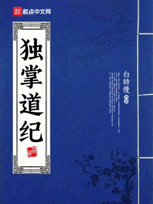 《独掌道纪》小说封面