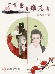 《不思量自难忘矣》小说封面