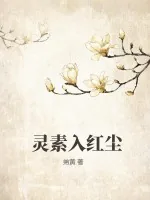 《灵素入红尘》小说封面
