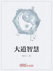 《大道智慧》小说封面