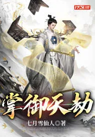 《掌御天劫》小说封面