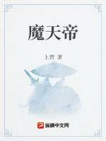 《魔天帝》小说封面