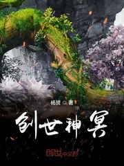 《创世神冥》小说封面
