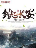 《剑起长安》小说封面