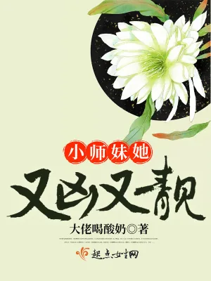《小师妹她又凶又靓》小说封面