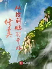 《修真从捡到鹏羽开始》小说封面