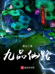 《九品仙路》小说封面