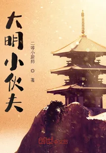 《大明小伙夫》小说封面