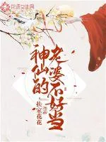 《神仙的老婆不好当》小说封面