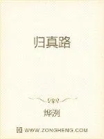 《归真路》小说封面