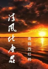 《清风化尘录》小说封面