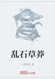 《乱石草莽》小说封面
