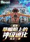 《航海：草帽船上的神级进化》小说封面