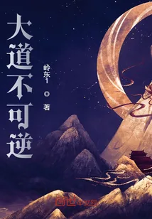 《大道不可逆》小说封面