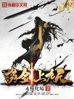 《携剑上九天》小说封面