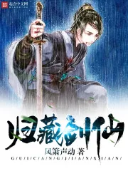 《归藏剑仙》小说封面