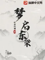 《梦启东梁》小说封面