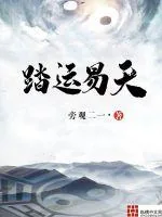 《踏运易天》小说封面