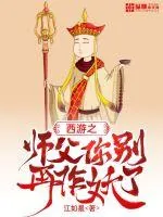 《西游之师父你别再作妖了》小说封面