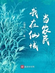 《我在仙域当农民》小说封面