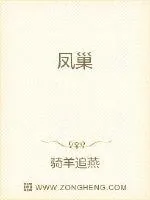 《凤巢》小说封面