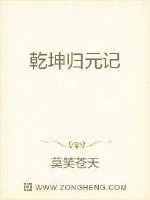 《乾坤归元记》小说封面