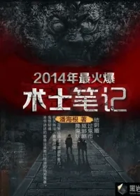 《术士笔记》小说封面