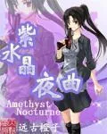 《紫水晶夜曲》小说封面