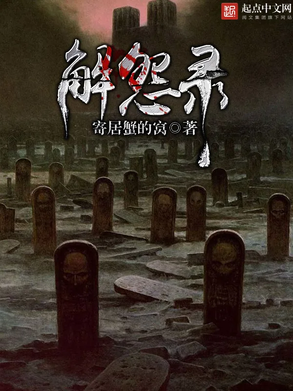 《解怨录》小说封面