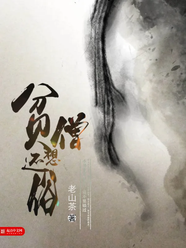 《贫僧想还俗》小说封面