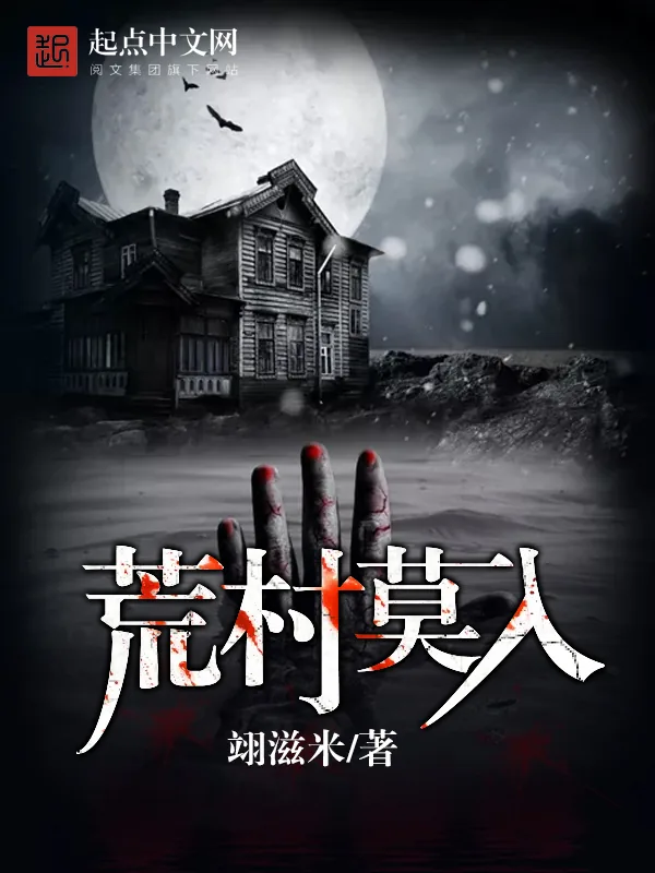 《荒村莫入》小说封面