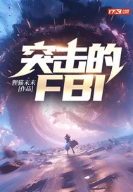 《突击的FBI》小说封面