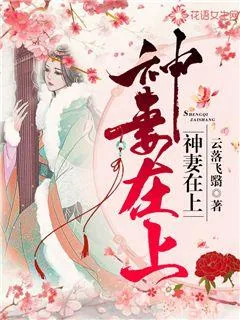 《神妻在上》小说封面