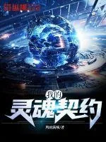 《我的灵魂契约》小说封面
