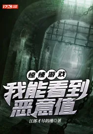 《惊悚游戏：我能看到恶意值》小说封面
