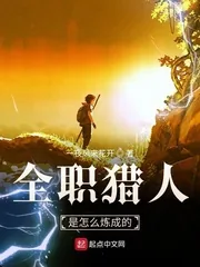 《全职猎人是怎么炼成的》小说封面