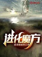《进化魔方》小说封面