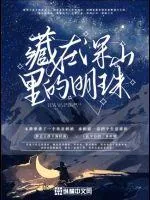 《藏在深山里的明珠》小说封面