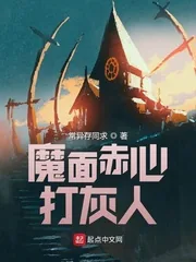 《魔面赤心打灰人》小说封面