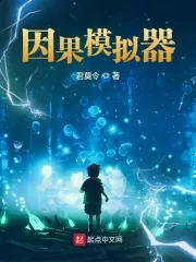 《我的因果模拟器》小说封面