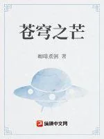 《苍穹之芒》小说封面