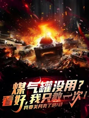 《煤气罐没用?看好,我只教一次!》小说封面