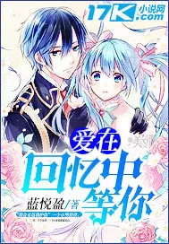 《爱在回忆中等你》小说封面
